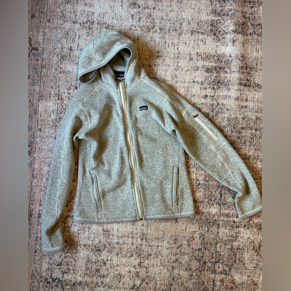 Patagonia Better Sweater Hoody